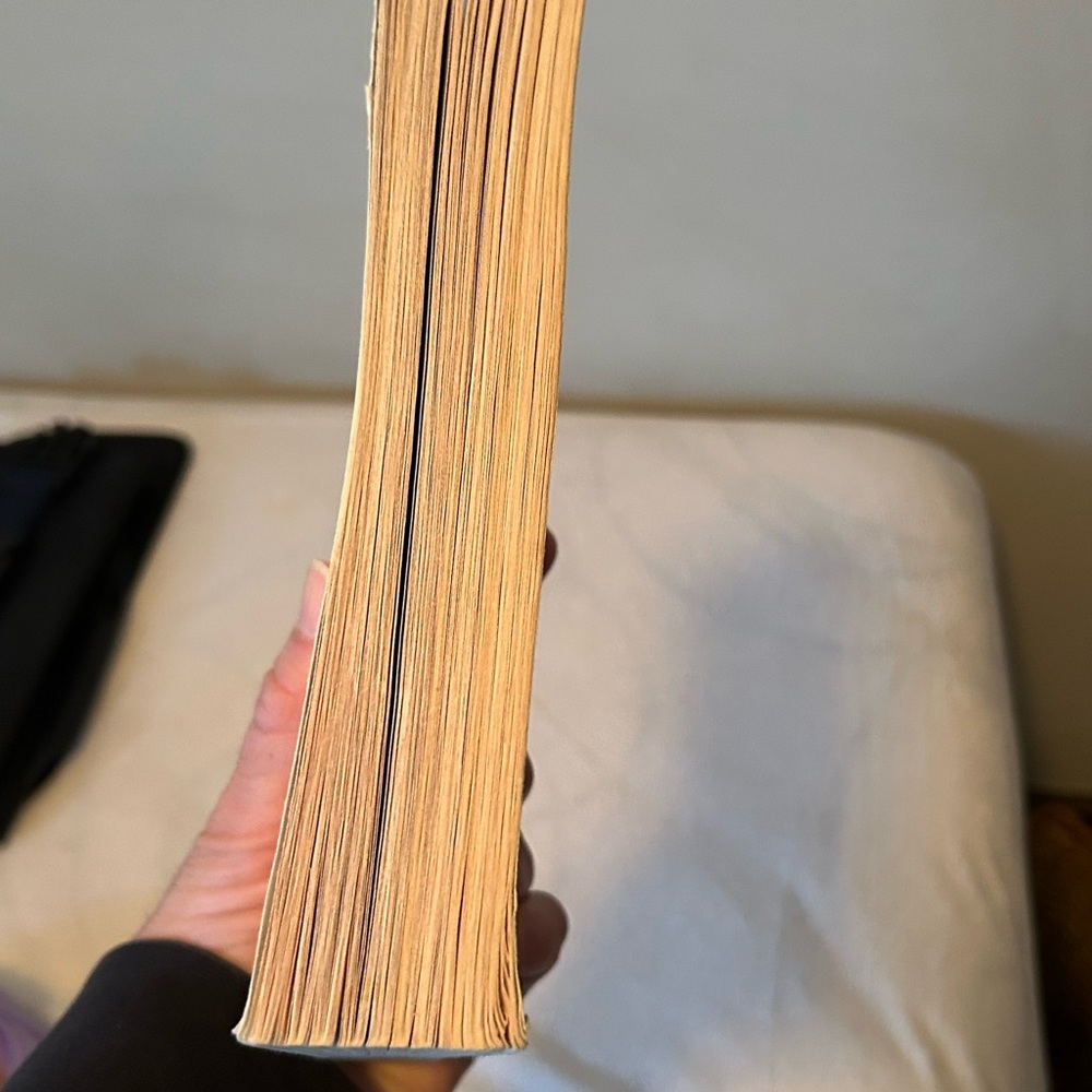 Every Summer After Novel - Picture 4 of 4